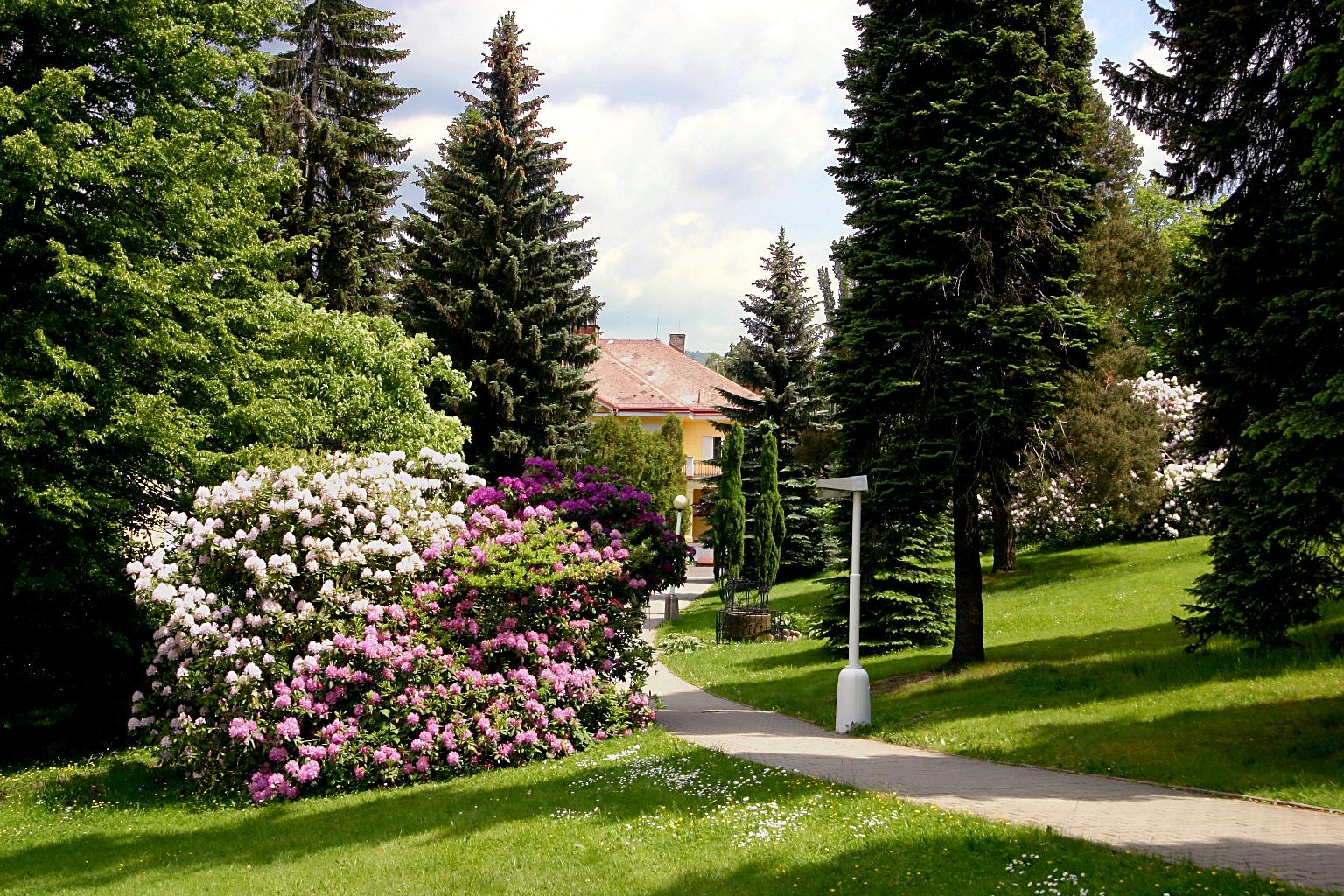 Spa Resort Libverda - Villa Friedland Lázně Libverda Exterior foto